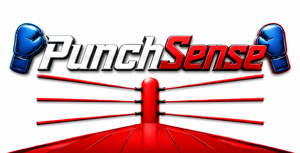 PunchSense